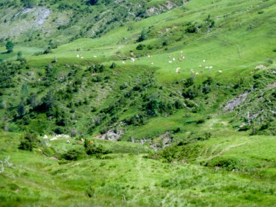 Depuis le Col du Soulor vue 3