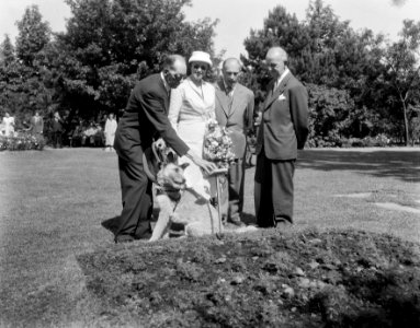 Den Haag opening blindentuin, mevr Kolfschoten, Bestanddeelnr 908-6963