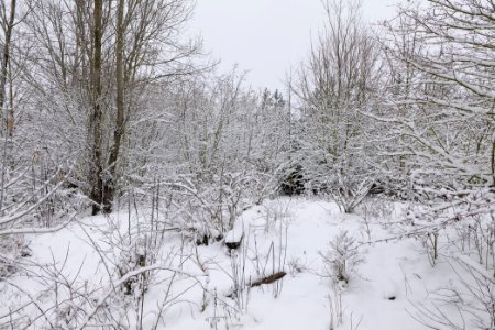 Deponie Wannsee with snow 2021-01-30 36