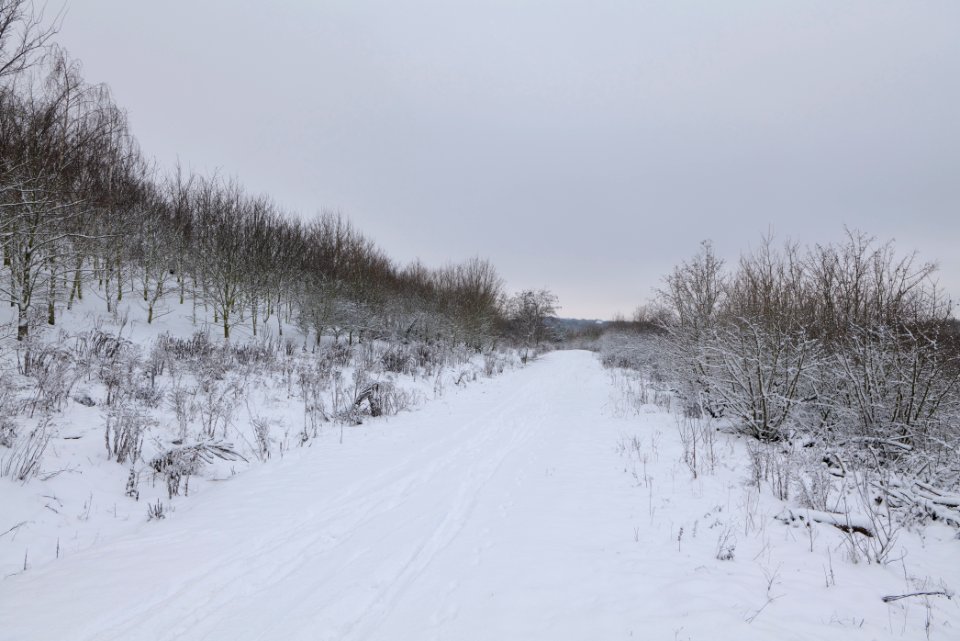 Deponie Wannsee with snow 2021-01-30 56
