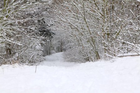 Deponie Wannsee with snow 2021-01-30 76