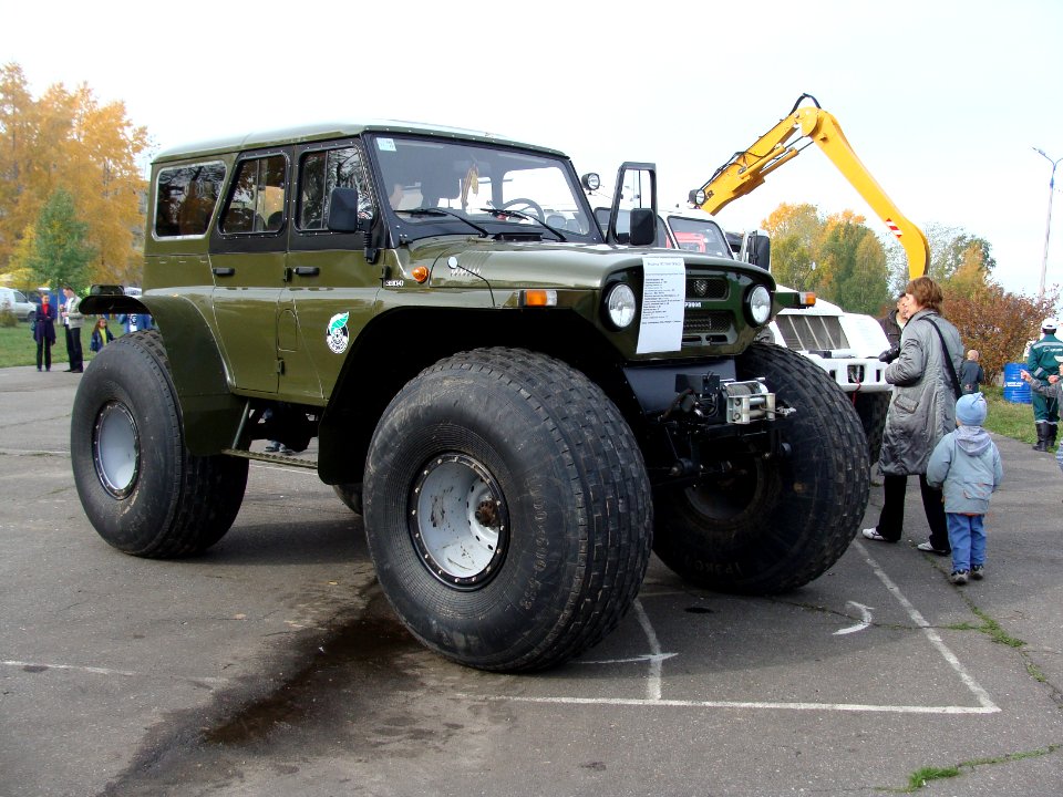 Den rabotnikov lesa, Koryazhma 2010 (022)