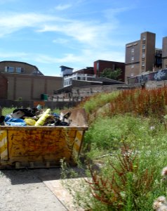 Derelict Site at Church Street-Portland Street junction, North Laine, Brighton (July 2010)