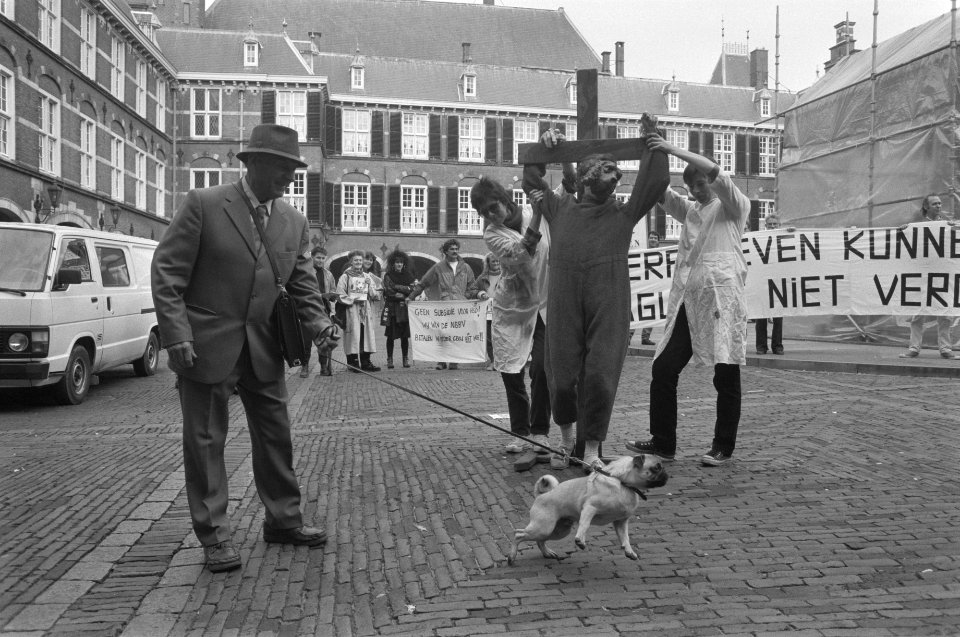 Den Haag , Binnenhof, demonstratie tegen gebruik proefdieren, Bestanddeelnr 934-3486