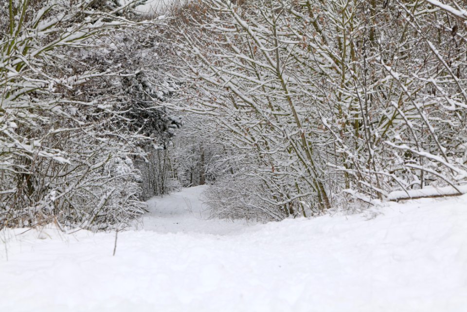 Deponie Wannsee with snow 2021-01-30 77
