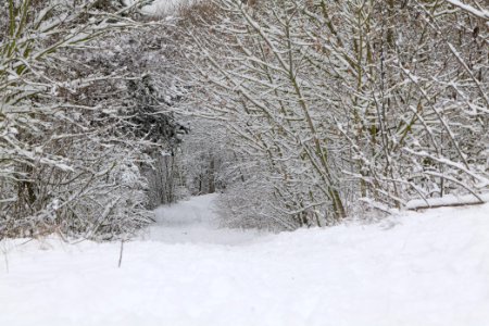 Deponie Wannsee with snow 2021-01-30 77