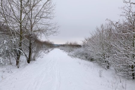 Deponie Wannsee with snow 2021-01-30 55
