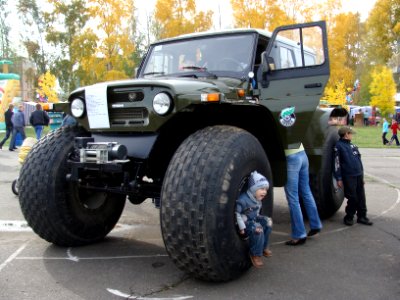 Den rabotnikov lesa, Koryazhma 2010 (023)
