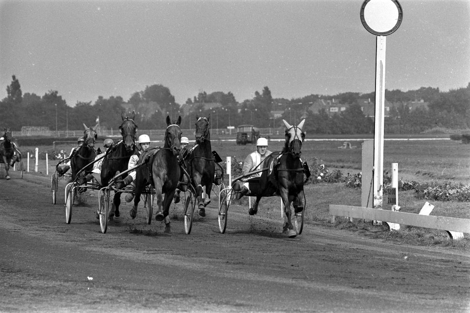 Derby voor dravers op Duindigt winnaar Ironie met berijder M. Vergay, Bestanddeelnr 923-7224