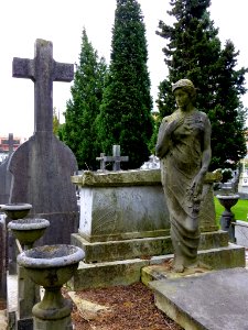 Derio - Cementerio de Bilbao 140