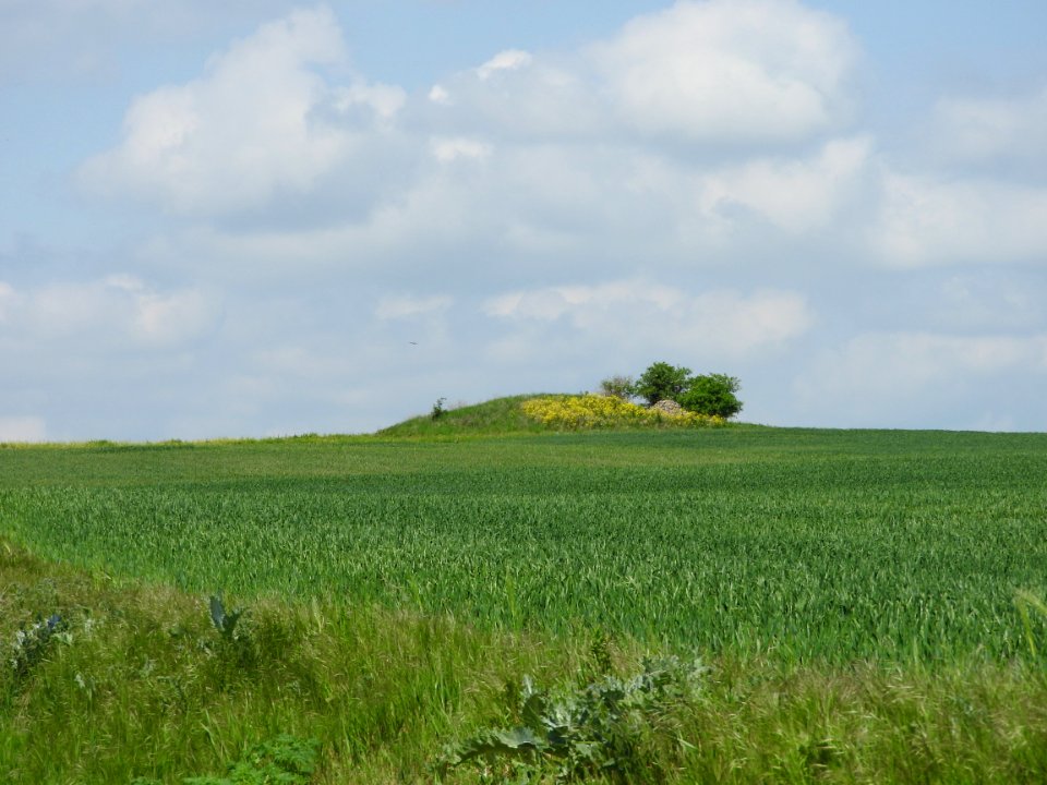 Derfflinger Hügel 3