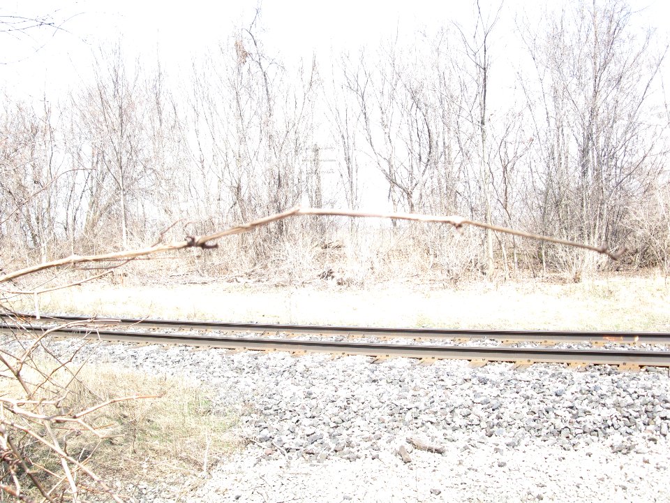 Derelict Kodak building, Mt Dennis, 2013 04 09 -ad