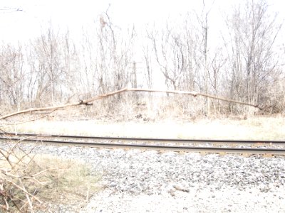 Derelict Kodak building, Mt Dennis, 2013 04 09 -ad