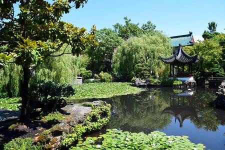 Chinese vancouver nature