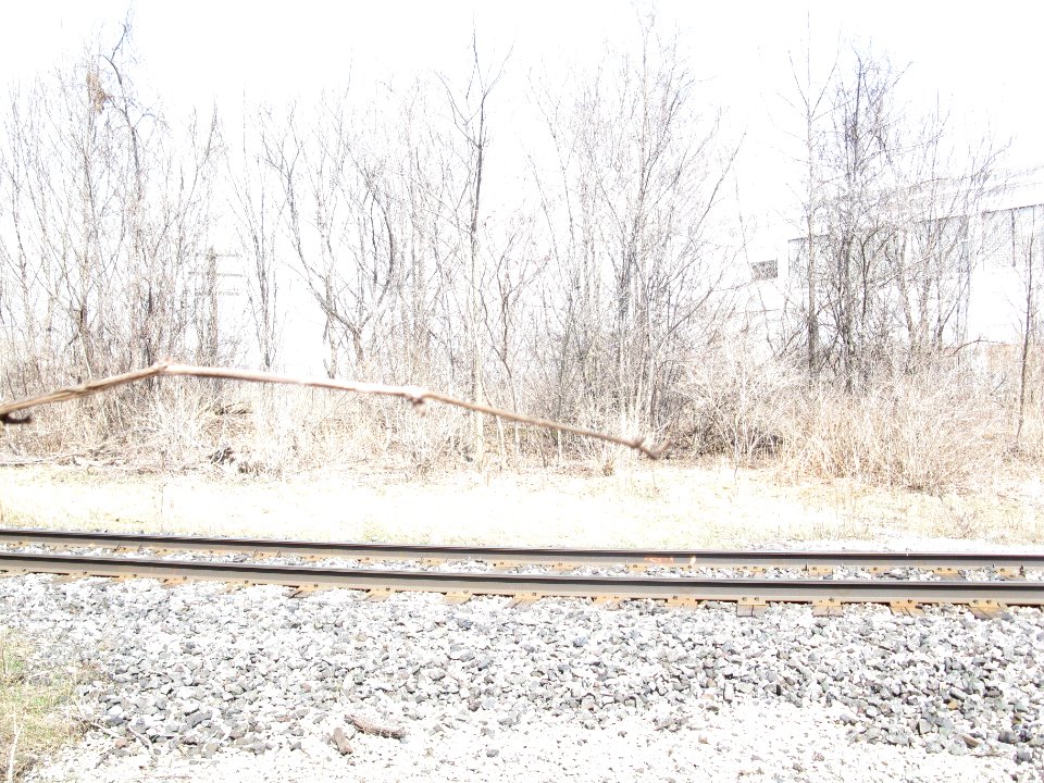 Derelict Kodak building, Mt Dennis, 2013 04 09 -ac