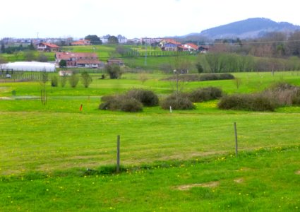 Derio - Campo de Golf 03