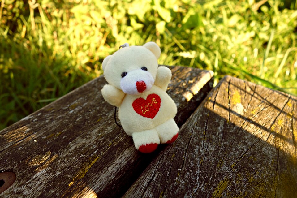 Cute key hanger love