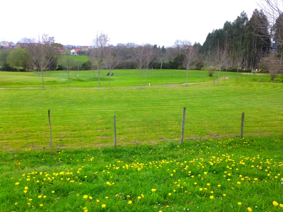 Derio - Campo de Golf 01