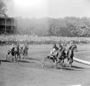 Derby op Duindigt (Flocondor), Bestanddeelnr 913-9897