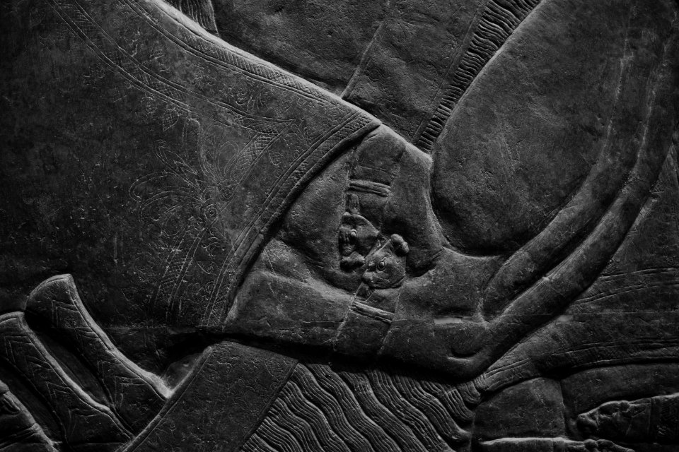 Details from the palace reliefs of Neo-Assyrian king Ashurnasirpal II (883-900 BC) on view at the Metropolitan Museum of Art