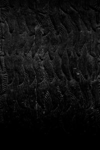 Details of the lamassu and palace reliefs of Neo-Assyrian king Ashurnasirpal (883-896 BC) at the Metropolitan Museum of Art