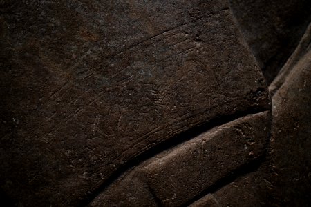 Details of the reliefs from the palace of Neo-Assyrian king Ashurnasirpal II (883-865 BC) on view at the Metropolitan Museum of Art
