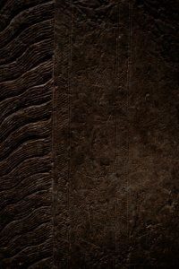 Details of the reliefs from the palace of Neo-Assyrian king Ashurnasirpal II (883-860 BC) on view at the Metropolitan Museum of Art
