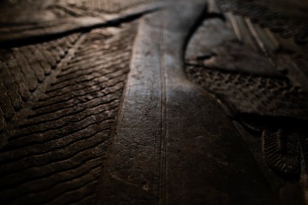 Details of the reliefs from the palace of Neo-Assyrian king Ashurnasirpal II (883-871 BC) on view at the Metropolitan Museum of Art
