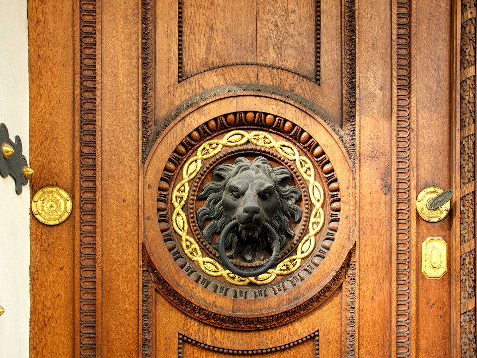 Detail lion head wooden door Vienna
