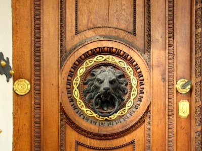 Detail lion head wooden door Vienna