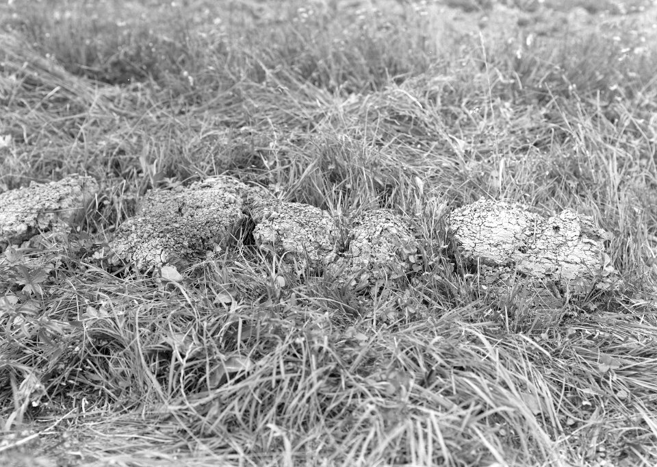 Details broekgrond in de grote kom, Bestanddeelnr 192-1322