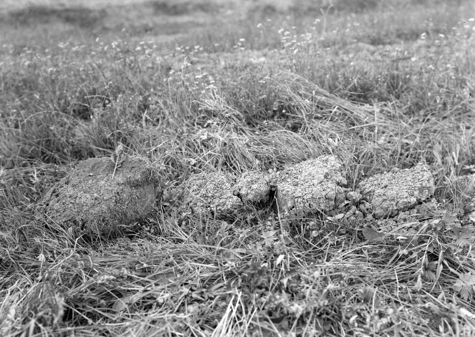 Details broekgrond in de grote kom, Bestanddeelnr 192-1321