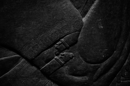 Details of the palace reliefs of Neo-Assyrian king Ashurnasirpal II (883-883 BC) on view at the Metropolitan Museum of Art