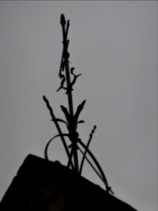 Detail An der Brunnenkunst 3, Arnstadt