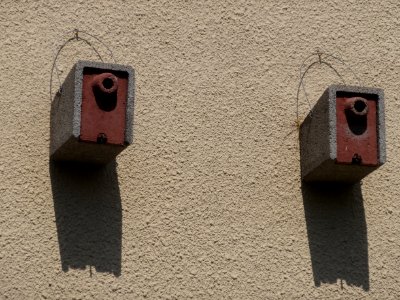 Detail am Artenschutzturm Haarhausen, Amt Wachsenburg 3