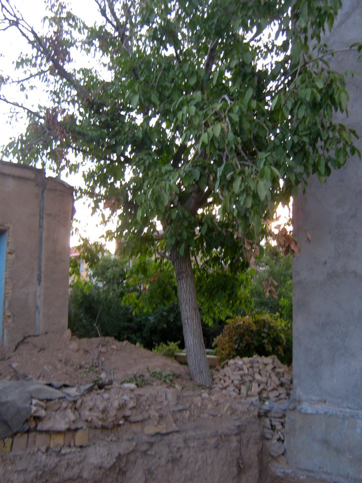 Destroyed House - Shura ave (Amin Eslami) - Nishapur 8