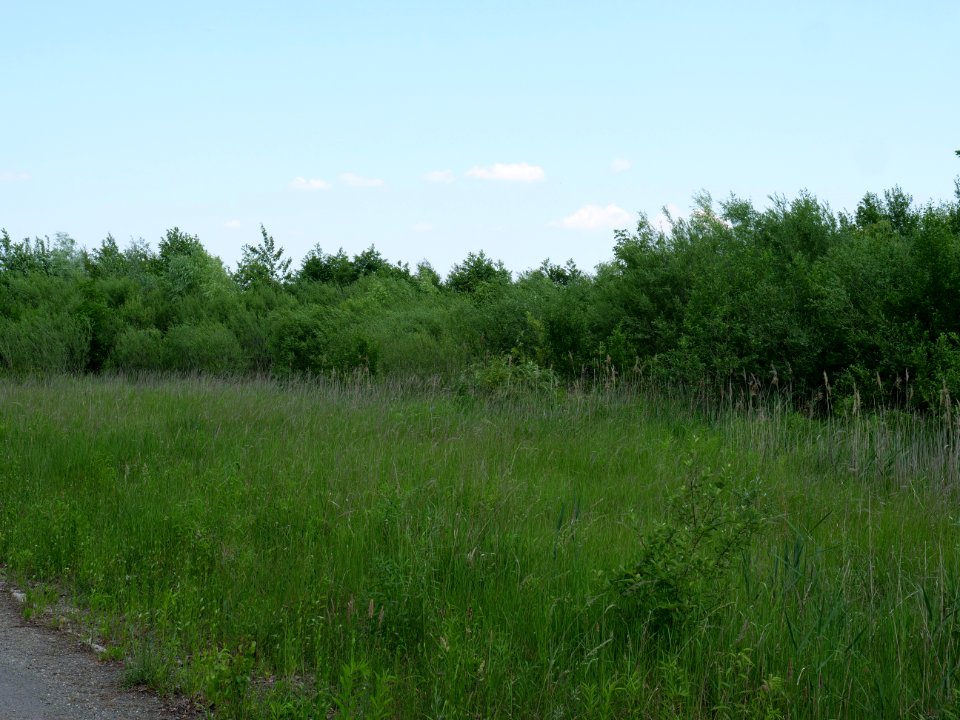 Destructed village Haidemühl 2019-06-05 12