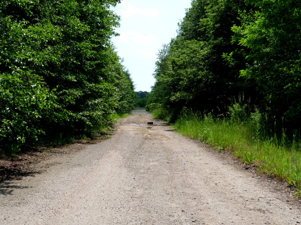 Destructed village Haidemühl 2019-06-05 20