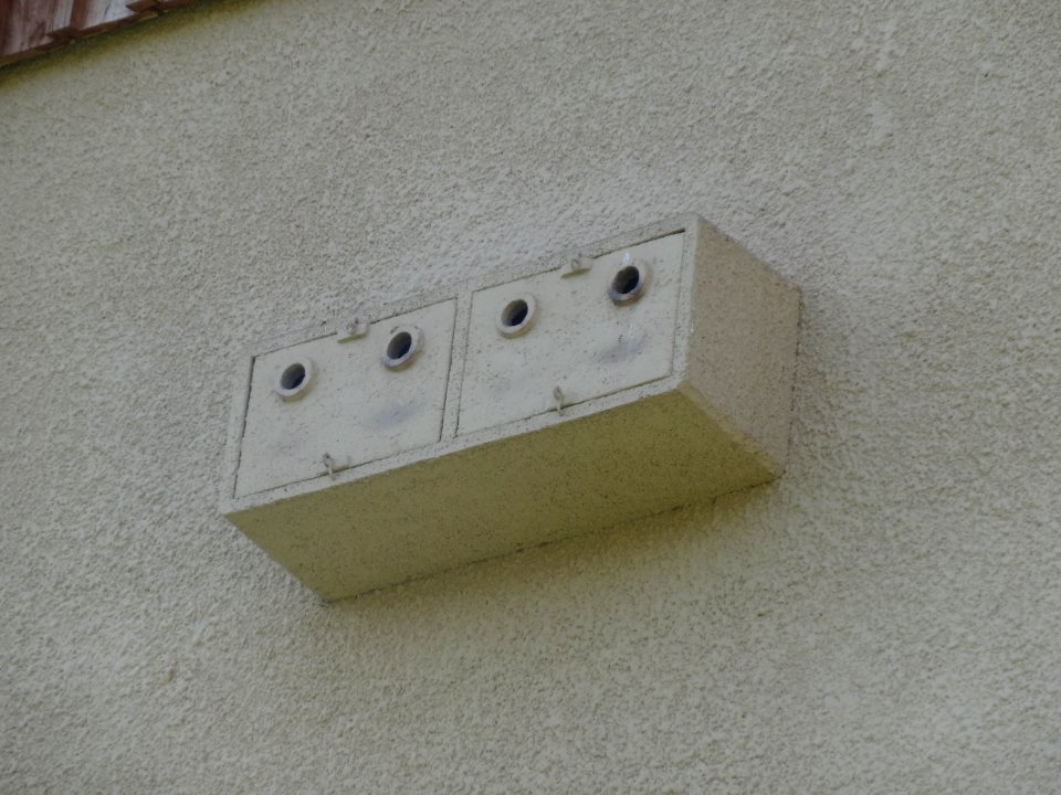 Detail am Artenschutzturm Haarhausen, Amt Wachsenburg 1