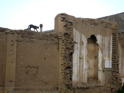 Destroyed house - neat amin eslami garden - nishapur 4