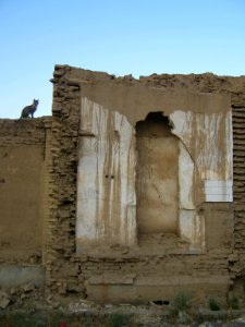 Destroyed house - neat amin eslami garden - nishapur 1