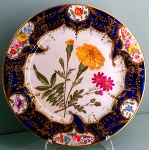 Dessert service, Coalport Porcelain Manufactory, probably 1830s-1840s - Harewood House - West Yorkshire, England - DSC01647