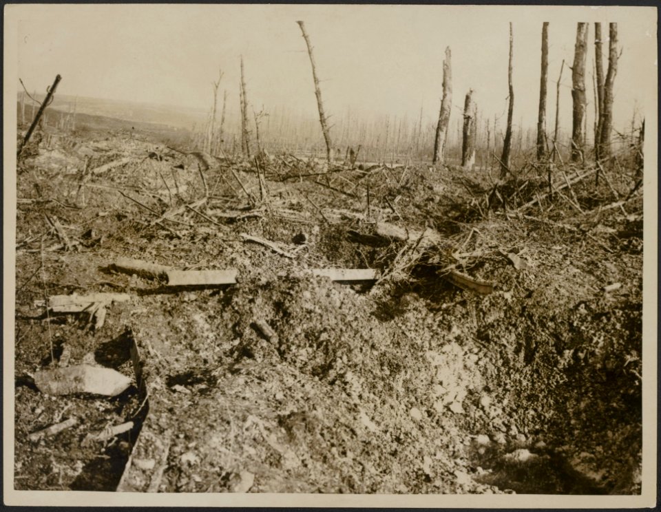 Desolation and German barbed wire at St Pierre Divion, Bestanddeelnr 158-2768