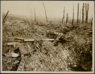 Desolation and German barbed wire at St Pierre Divion, Bestanddeelnr 158-2768