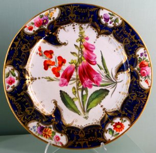 Dessert service, Coalport Porcelain Manufactory, probably 1830s-1840s - Harewood House - West Yorkshire, England - DSC01631