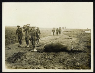 Desolation Carrying a wounded man past a dead horse, Bestanddeelnr 158-1027