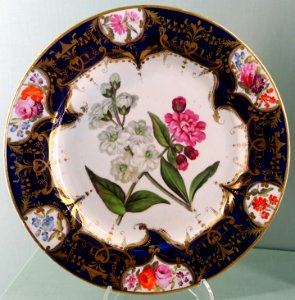 Dessert service, Coalport Porcelain Manufactory, probably 1830s-1840s - Harewood House - West Yorkshire, England - DSC01667
