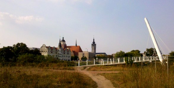 Dessauer Muldebrücke bzw. Eierschneider 2016a