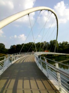 Dessauer Muldebrücke bzw. Eierschneider 2016c