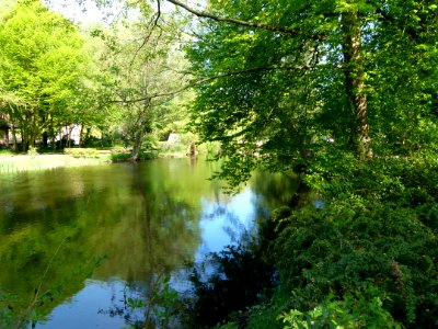 Der Teich Neumünster